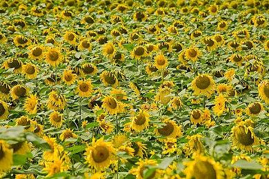 《死亡岛2》第二个故事DLC“SoLA”4月17日上线